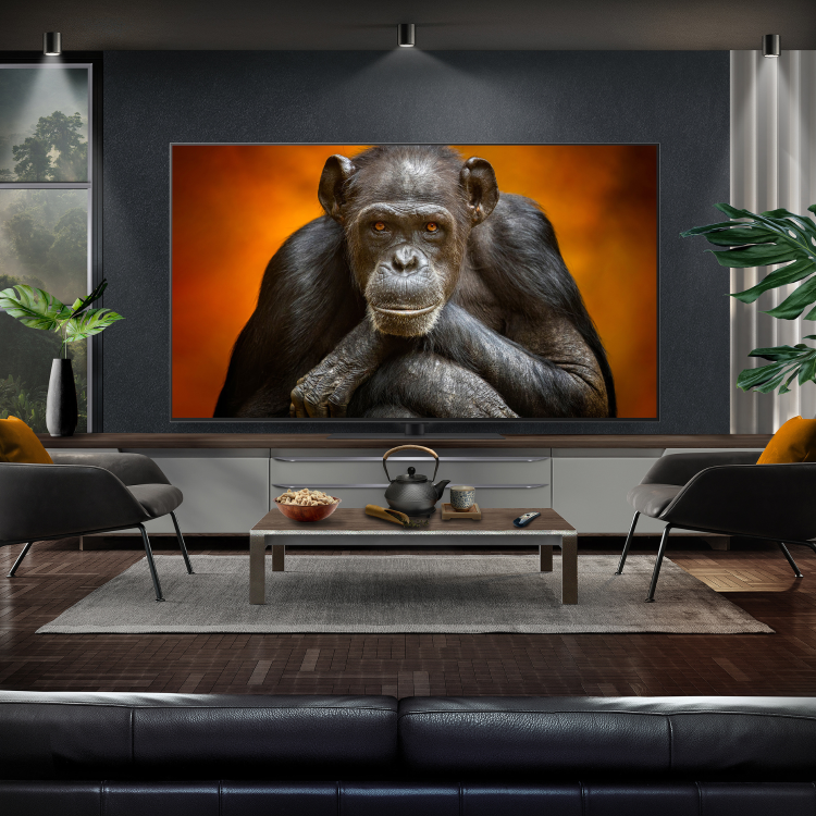 LG OLED65G56LS 65" 4K Gallery OLED Smart TV with Dolby Vision & Atmos - Image 9
