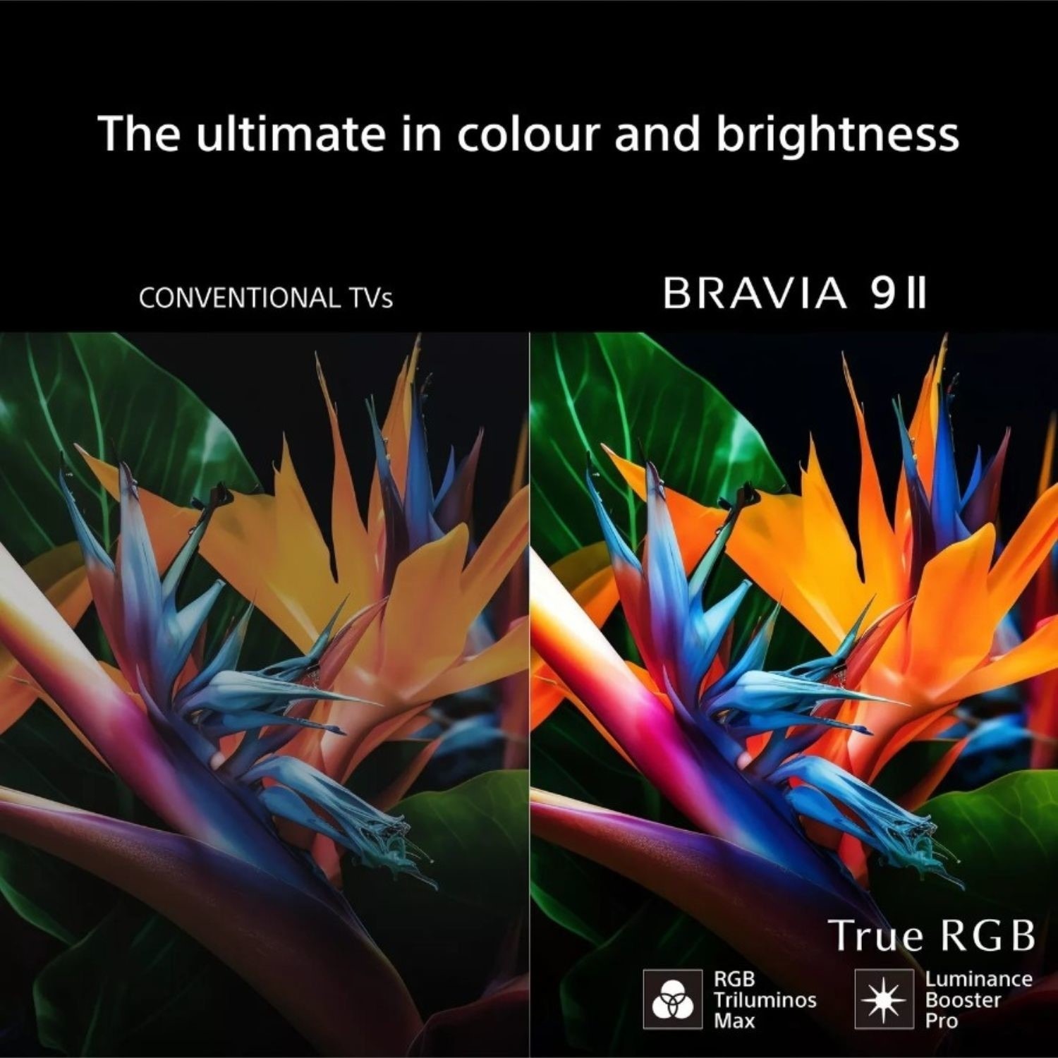 Sony BRAVIA 7 K75XR75M2PB 75 Inch 4K HDR True RGB LED Smart Google TV with Dolby Vision - Image 14